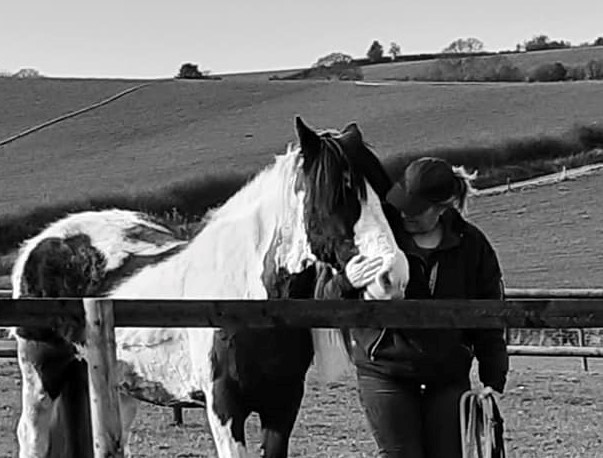 spirit of the phoenix equine assisted therapy