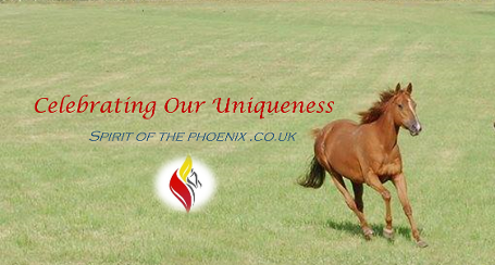 Spirit of the Phoenix