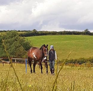 Spirit of the Phoenix Equine Assisted Therapy
